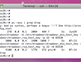 How to Replace OpenSSH and install Dropbear